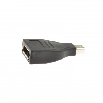 Mini DisplayPort Plug to DisplayPort Female Socket Converter Adapter