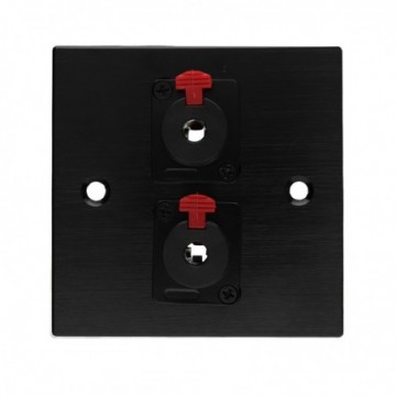 Brushed Dark Aluminium D-Series 2 x 6.35mm Jack Socket In Wall Metal Plate