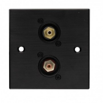 Brushed Dark Aluminium D-Series 2 x Phono Socket Wall Metal Plate